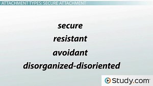 Strange Situation Experiment | Overview, Conclusion & Criticisms