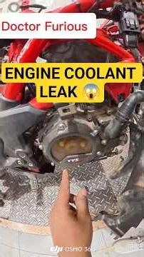 TVS Apache RR310 Transparent Clutch Cover 🔥 Engine Work Reveal!