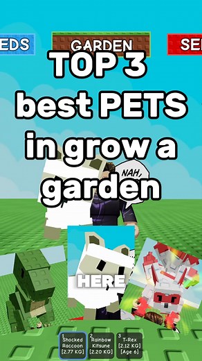 17K views · 142 reactions | BEST PETS in grow a garden!! #fbreelsfypシ゚viralシ #growagardenroblox #fbreelsfypシ゚viralfbreelsfypシ゚viral #reelsfacebook #growagarden | Day1Player | Facebook