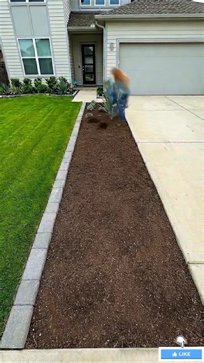 Garden Transformation 😱 | From Empty Yard to Luxury Backyard Paradise #shorts #usa #usashorts