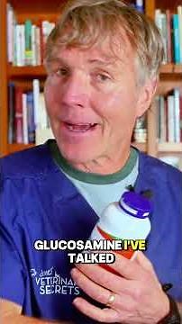 How Much Glucosamine Is Too Much for Dogs and Cats?