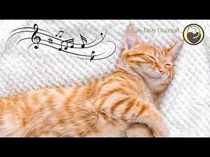 Calming Cat Music with Water Sounds - Sleep Music, Relaxing Music, Peaceful Music