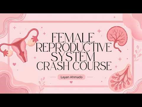 Female Reproductive Histology Crash Course || Layan Ahmado