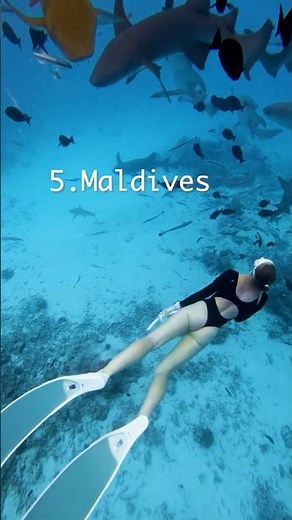 Top 5 Snorkeling Places on Earth #cinematicearth #relaxingvideo #travel