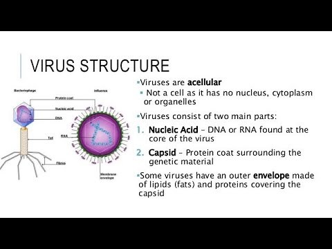 Structure of a Virus | introduction to Virology | Microbiology