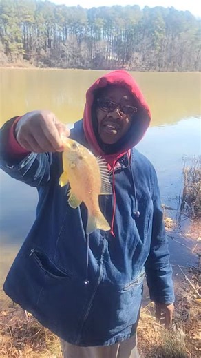 South Shores: Lake Allatoona