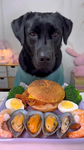 #dogeating #asmr #labrador #immersive #dog | Beauty Pets