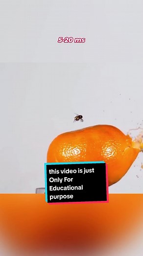 Amazing Facts #amazingfacts #facts #amazingfactsinhindi #interestingfacts #top3amazingfacts #top3amazingfactsinhindi #mindblowingfacts #unknownfacts @Facts World 🌎 @Facts World 🌎