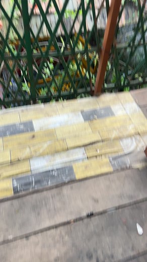 #Reel ✅✅ | Hariel Ferrari Vlog