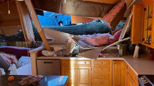 Thousands without power as 60 mph winds topple trees and wires in D.C., Maryland, Virginia