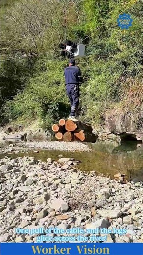 Cable Logging System Moves Timber Faster Than Trucks.