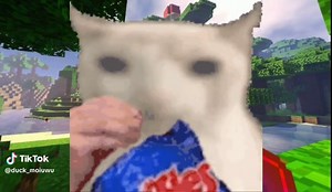 Funny Cat Eating Chips Compilation