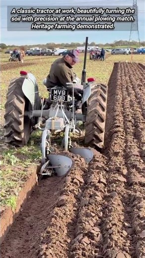 ​Vintage Tractor Display at the Annual Plowing Match.