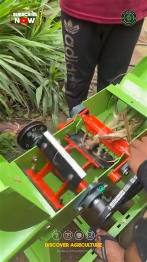 A chaff cutter is an essential tool in agricultural practices, designed to efficiently chop straw or fodder into smaller pieces. By using sharp blades within a rotating drum, the machine processes various types of crop residues, improving the feed quality for livestock and enhancing digestibility. Not only does this increase feed efficiency but it also reduces wastage. The cut material can be easily mixed with other feeds or used as bedding for animals. Understanding how a chaff cutter operates 