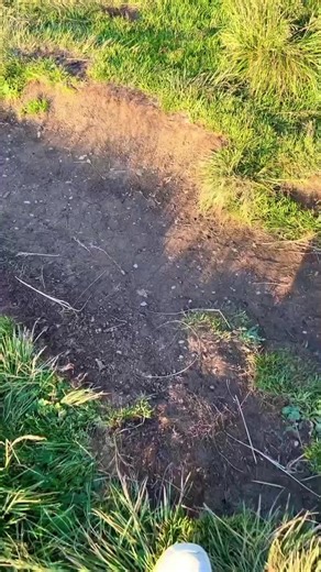 Educational Mapping Techniques for Enhanced Learning