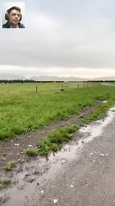 Animals touching electric fences 🐐⚡ | Você Não Sabe Nem Eu