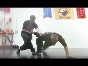 Eagle Claw Kung Fu Stance Applications, Ying Jow Pai Los Angeles