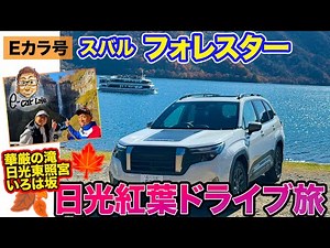 【Eカラ号】フォレスター で日光紅葉ドライブ旅!! 目指すは華厳の滝＆日光東照宮 E-CarLife with 五味やすたか