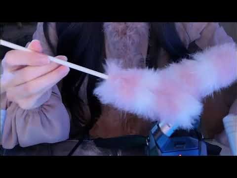 The Most Relaxing ASMR Ear Cleaning Ever with Goose Feather, Ponytail Silk Powder Puff (No Talking)