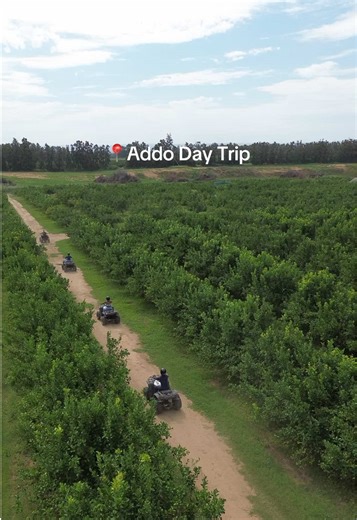 Save R370 on Addo Day Trip – Exclusive Offer