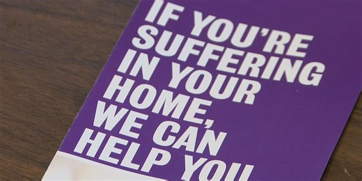 La. bill proposes public registry for repeat domestic violence offenders