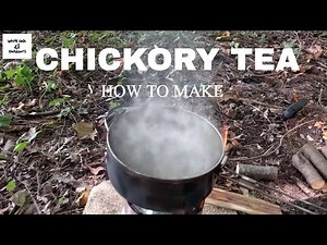 How to make Chicory Tea
