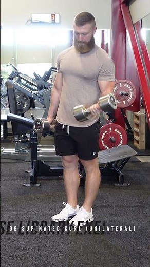 DB Supinated Bicep Curl (unilateral) | #gym #fitness #workout #bodybuilding
