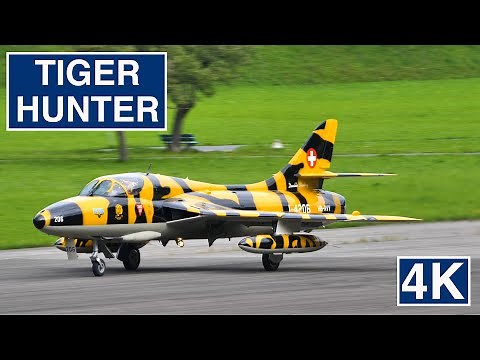 Hawker Hunter "Tiger" 🐯 Swiss Air Force 🇨🇭 4K Video 🔊 Sound
