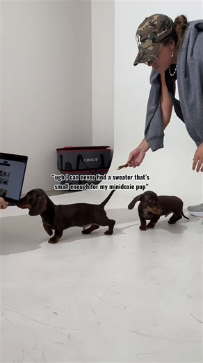 Adjustable Dog Sweaters for Mini Doxie Pups