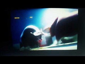 Ferdinand vs Valiente