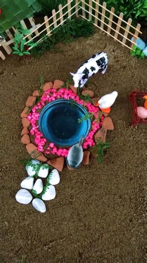 How to create mini pond easily