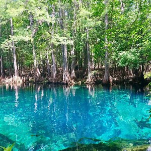Our mission is to protect the lands and waters on which all life depends in Florida. | The Nature Conservancy in Florida