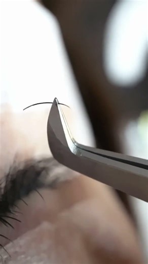 Single Lash Application in Detail
