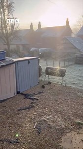 314K views · 6.3K reactions | This is a rare phenomenon in this part of the world - it's called ✨ diamond dust ✨ It's literally floating ice crystals - something you'd more likely see in places like Antartica. Shane Healey spotted it in Stroud on Thursday morning - and isn't it beautiful? | BBC Gloucestershire | Facebook