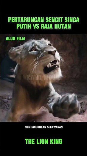 Fierce Battle of the White Lion vs. the King of the Jungle #film #gangsterfilmplot #filmreview #m...