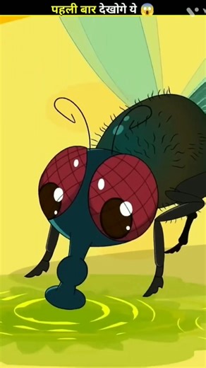 How Flies Actually Eat Your Food 😱#facts​ #fly​ #food