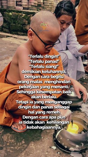 #danaeveryday #buddha #buddhateachings #buddhism