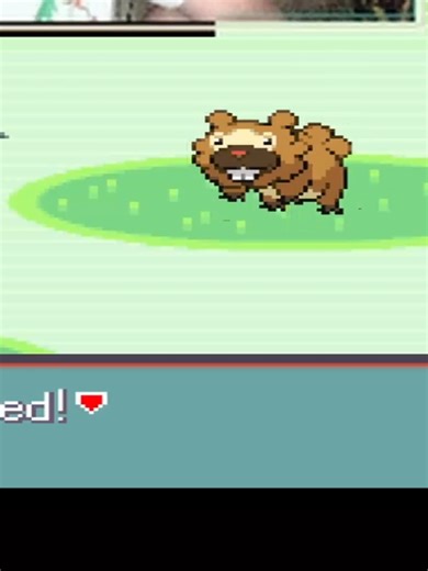 Underestimating Bidoof in Pokémon Emerald