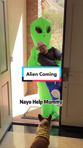 Alien take mummy away! #DogsOfTikTok #PetsOfTikTok #fyp #corgioftiktok #halloween #alien #prank