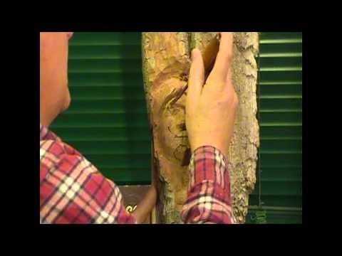 Carving The Female Face