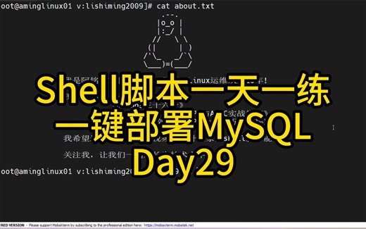 Shell脚本一天一练Day29-一键部署MySQL