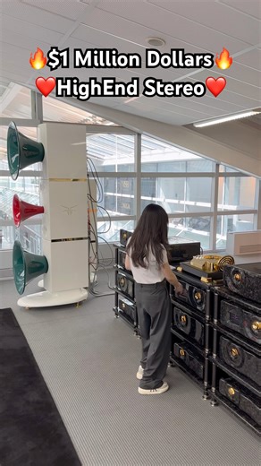 $1 Million 🔥 ESD Acoustics HiEnd Audiophile Stereo Sound System Horn Speakers Titanium Subwoofers