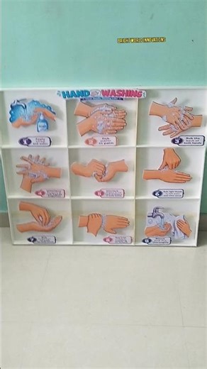 HAND WASHING MODEL|NURSING PROJECT