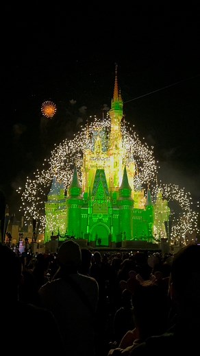 Disney Christmas lights✨🏰💖 Mickey’s Very Merry Christmas Party #disney #disneyworld #disneyparks #magickingdom #christmas #mvmcp #navidad #orlando | Trave Liz
