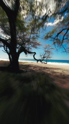 One of the best feelings is being in the ocean! #speedo #ocean #Hawaii | Kammerankeola
