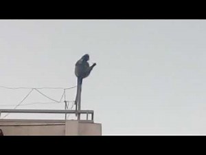 OMG ! The Monkey Might Have Got Electrocuted - Saved