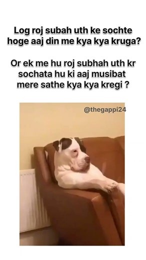 dogesh#memes #meme #funny #rola #jokes #trending#comedy #popular #viral#ytshorts #dogeshbhai#shorts