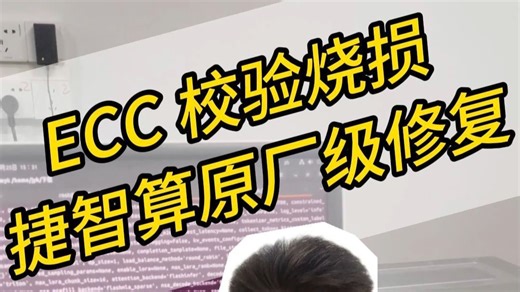 ECC校验烧损，捷智算原厂级修复