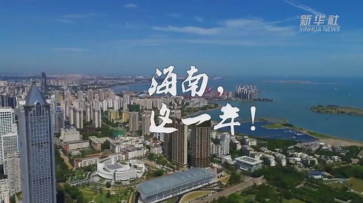 这一年，看自贸港如何夯基垒台