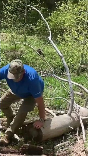 How to POOP in THE WOODS 💩 #hiking #hunting #outdoors